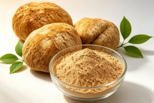 Lion's Mane Mushroom Extract Powder Fits Diverse Beverage and Powder Blends